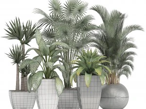 collection of plants in pots 3D Model
