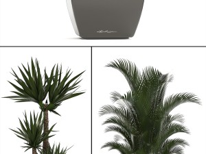 collection of plants in pots 3D Model