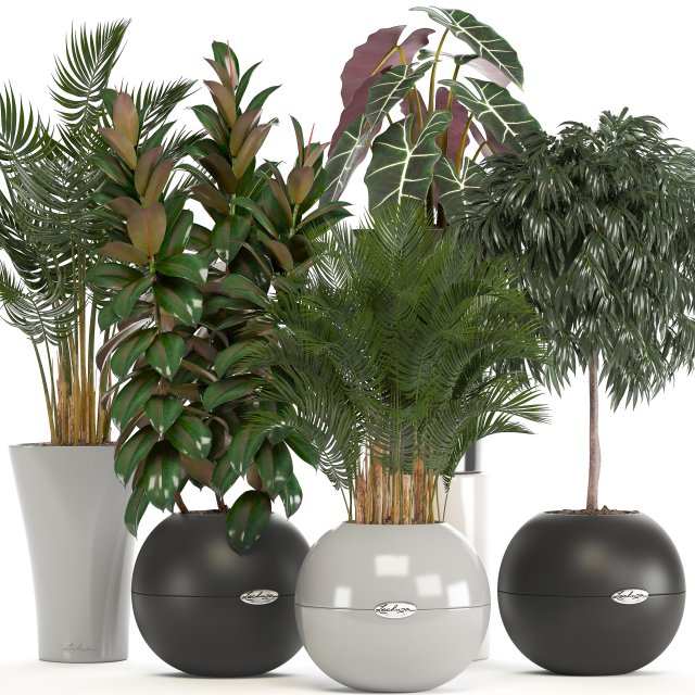 collection of plants in pots 3D Model .c4d .max .obj .3ds .fbx .stl .blend 