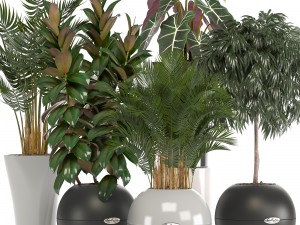 collection of plants in pots 3D Model