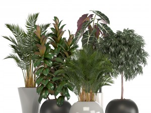 collection of plants in pots 3D Model