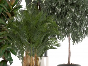 collection of plants in pots 3D Model