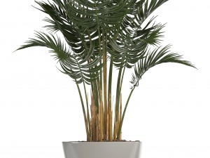 collection of plants in pots 3D Model
