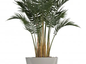 collection of plants in pots 3D Model
