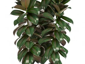 collection of plants in pots 3D Model
