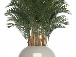 collection of plants in pots 3D Model