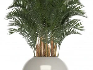 collection of plants in pots 3D Model
