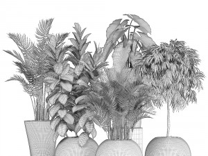collection of plants in pots 3D Model