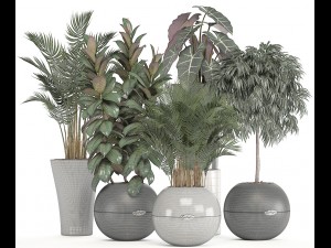 collection of plants in pots 3D Model