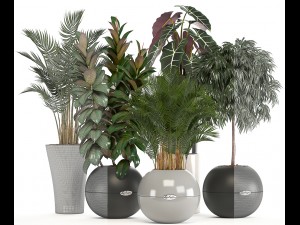 collection of plants in pots 3D Model