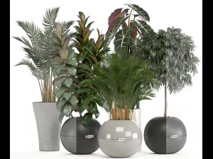 collection of plants in pots 3D Model