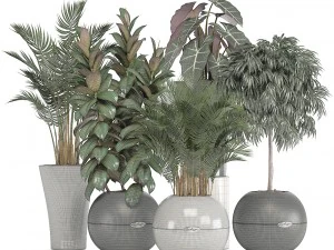collection of plants in pots 3D Model
