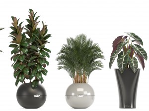 collection of plants in pots 3D Model