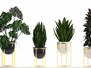 collection of plants in pots 3D Model