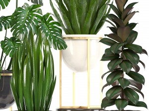 collection of plants in pots 3D Model
