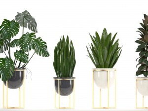 collection of plants in pots 3D Model