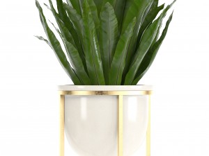 collection of plants in pots 3D Model