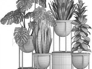 collection of plants in pots 3D Model