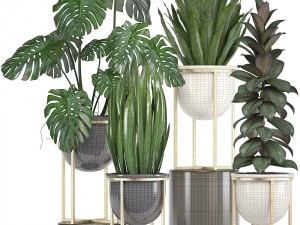 collection of plants in pots 3D Model