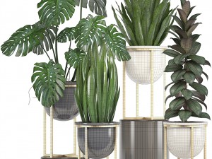 collection of plants in pots 3D Model
