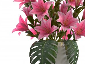 bouquet of pink lilies 3D Модель