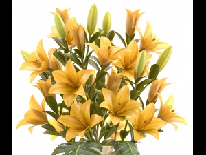 bouquet of yellow flowers 3D Model