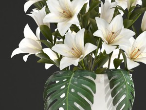 bouquet of white flowers 3D Модель