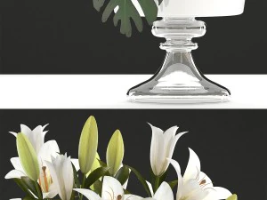 bouquet of white flowers 3D Model