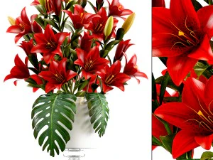 bukiet czerwonych kwiat&oacute;w Model 3D