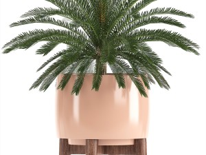 collection of plants in pots 3D Model