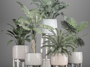 collection of plants in pots 3D Model