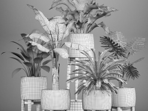collection of plants in pots 3D Model