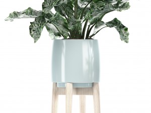 collection of plants in pots 3D Model