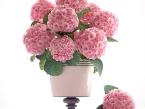 핑크 수국 꽃다발 3D 모델