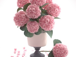 bouquet of pink hydrangea 3D Model