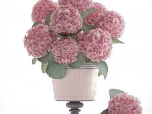 bouquet of pink hydrangea 3D Model