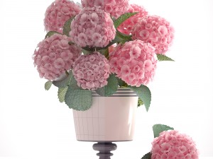 bouquet of pink hydrangea 3D Model