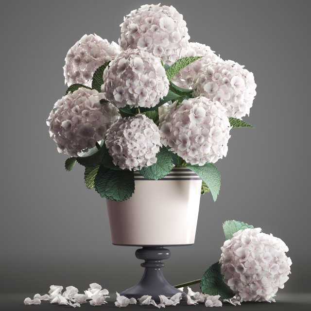 bouquet of white hydrangea 3D मॉडल .c4d .max .obj .3ds .fbx .stl .blend 