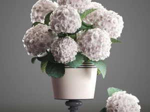白いアジサイの花束 3Dモデル