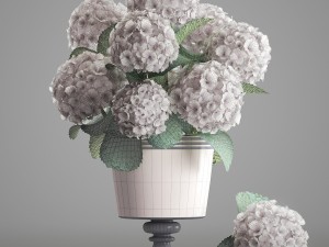 bouquet of white hydrangea 3D मॉडल
