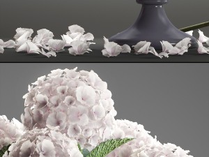 bouquet of white hydrangea 3D मॉडल