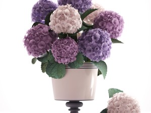 bouquet of hydrangea 3D Модель