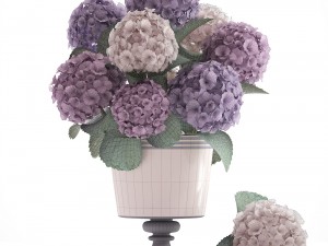 bouquet of hydrangea 3D Модель