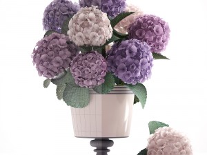 bouquet of hydrangea 3D Модель