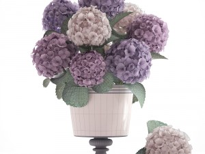 bouquet of hydrangea 3D Модель