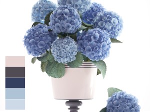 bouquet of blue hydrangea 3D Model