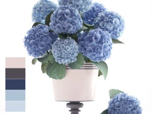 青いアジサイの花束 3Dモデル