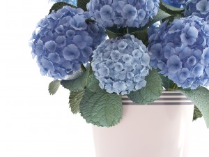 bouquet of blue hydrangea 3D 模型