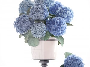 bouquet of blue hydrangea 3D 模型