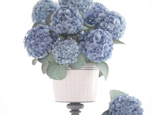 bouquet of blue hydrangea 3D 模型